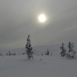 Finland 2018: Deep Snow in Kekkonen